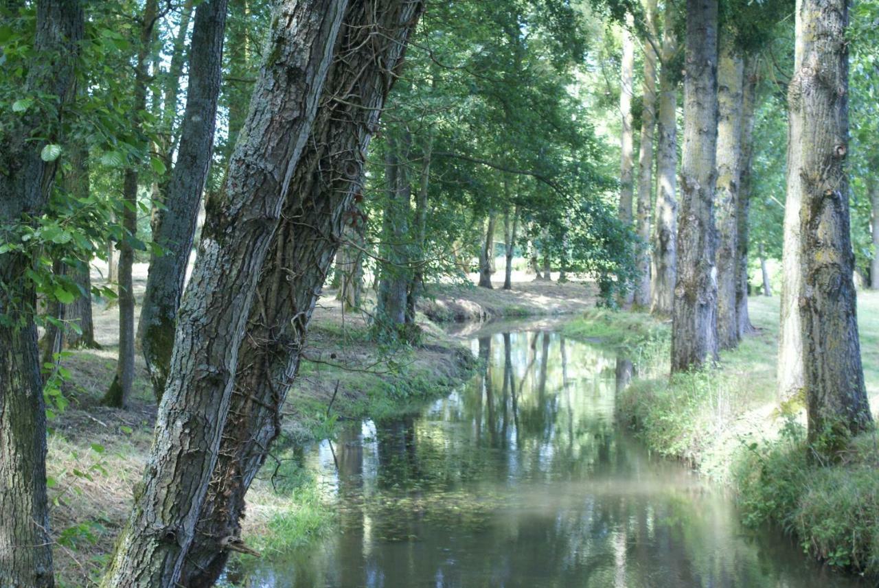 مبيت وإفطار Moulin De Champrond -Montmirail -Sarthe المظهر الخارجي الصورة