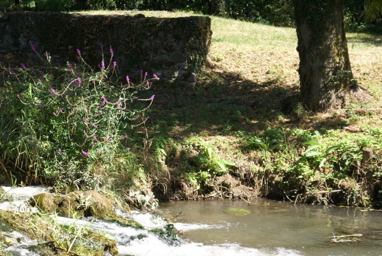 مبيت وإفطار Moulin De Champrond -Montmirail -Sarthe المظهر الخارجي الصورة